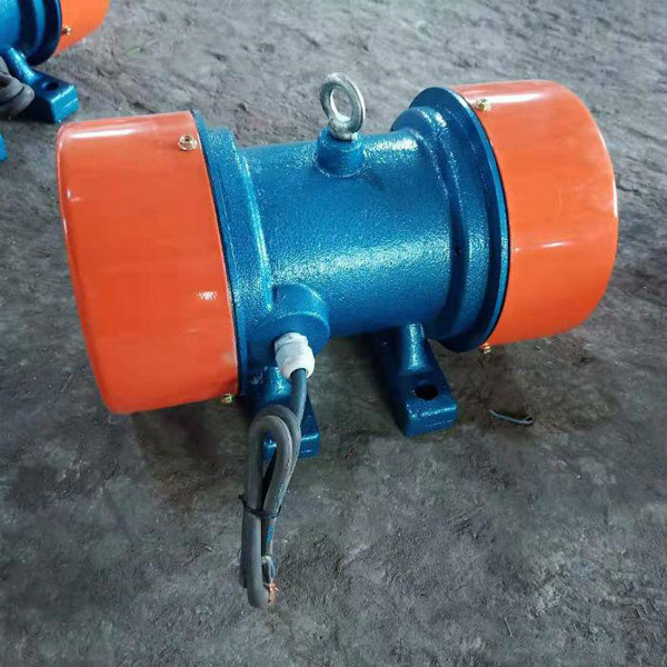 振動電機(jī)實(shí)圖